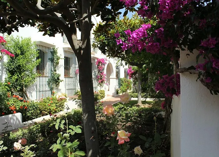 - Playa - Terraza Solárium Al19 Villa