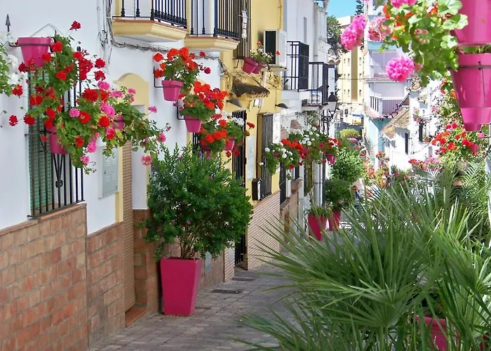 - Playa - Terraza Solárium Al19 *