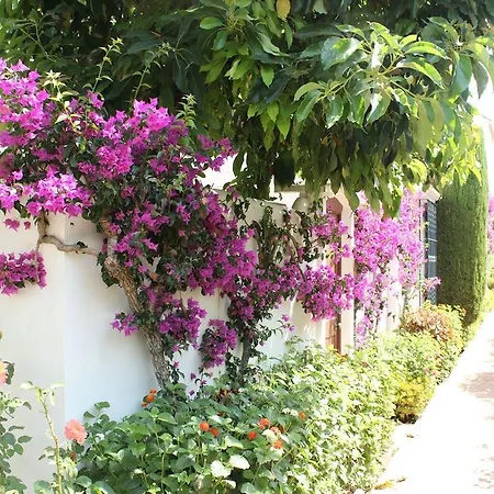 - Playa - Terraza Solárium Al19 Vila Estepona