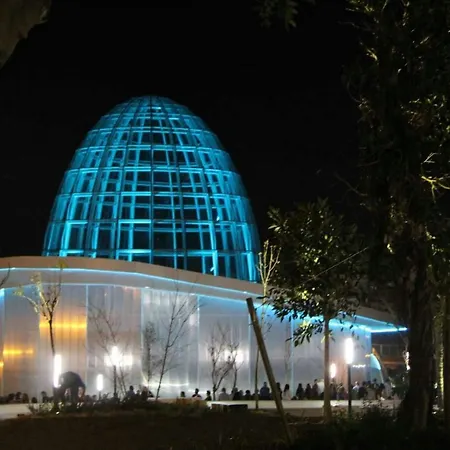 - Playa - Terraza Solárium Al19
