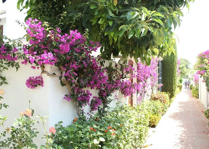 - Playa - Terraza Solarium Al19 Villa Estepona